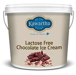 Lactose Free Chocolate Ice Cream